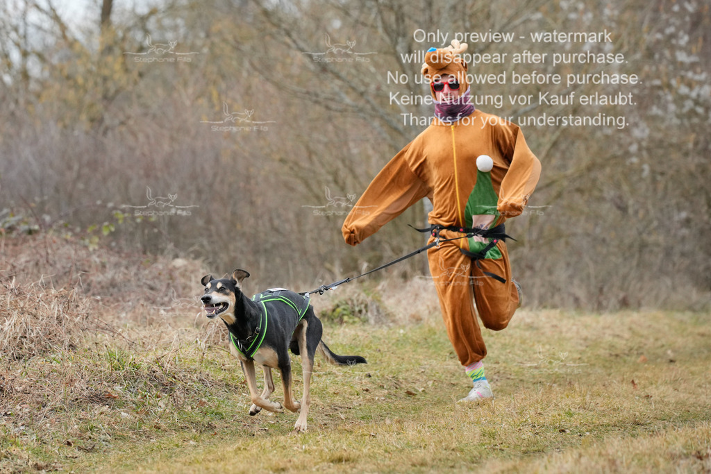 Fasching-7 | stephaniefillaphotographie - Realisiert mit Pictrs.com