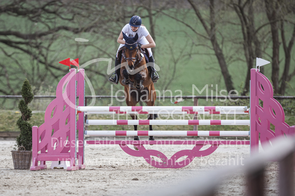 220413_LateEntry_MzH_SprPf-M-128 | Frühlingsfest der Pferde 
Outdoor Late Entry in Herford 
Springpferde-L
Springpferde-M*