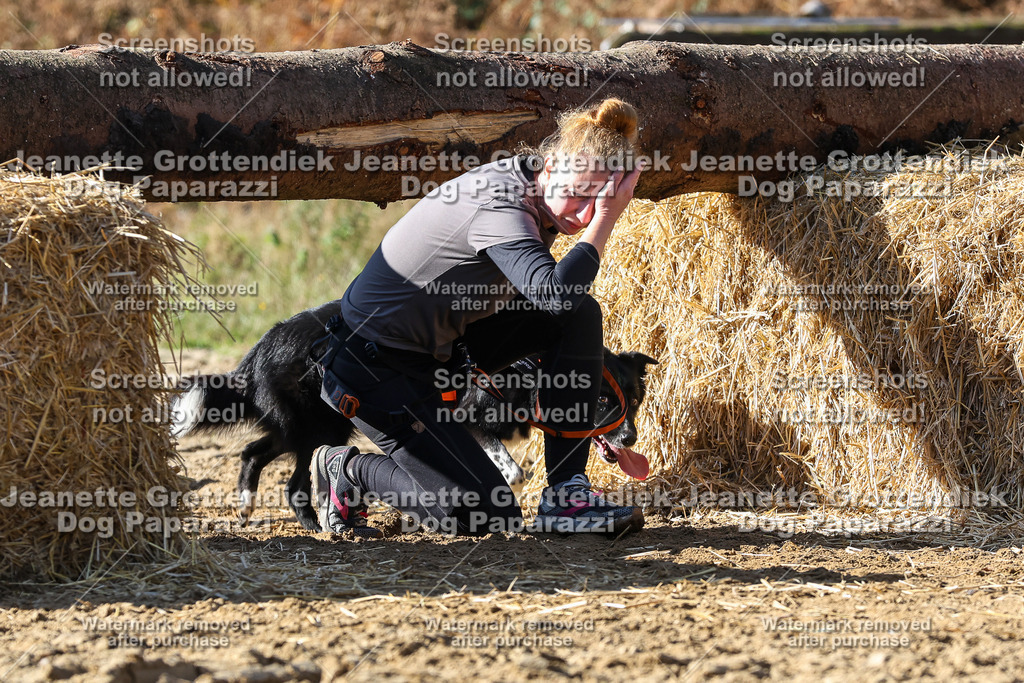 Dog Paparazzi - Strongdog 10-25-4744 | Dog Paparazzi Jeanette Grottendiek Fotografie & Videografie - Realisiert mit Pictrs.com