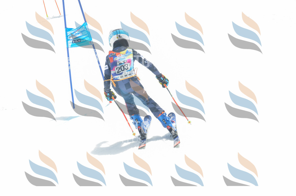 _ELE6951 | holidayphoto