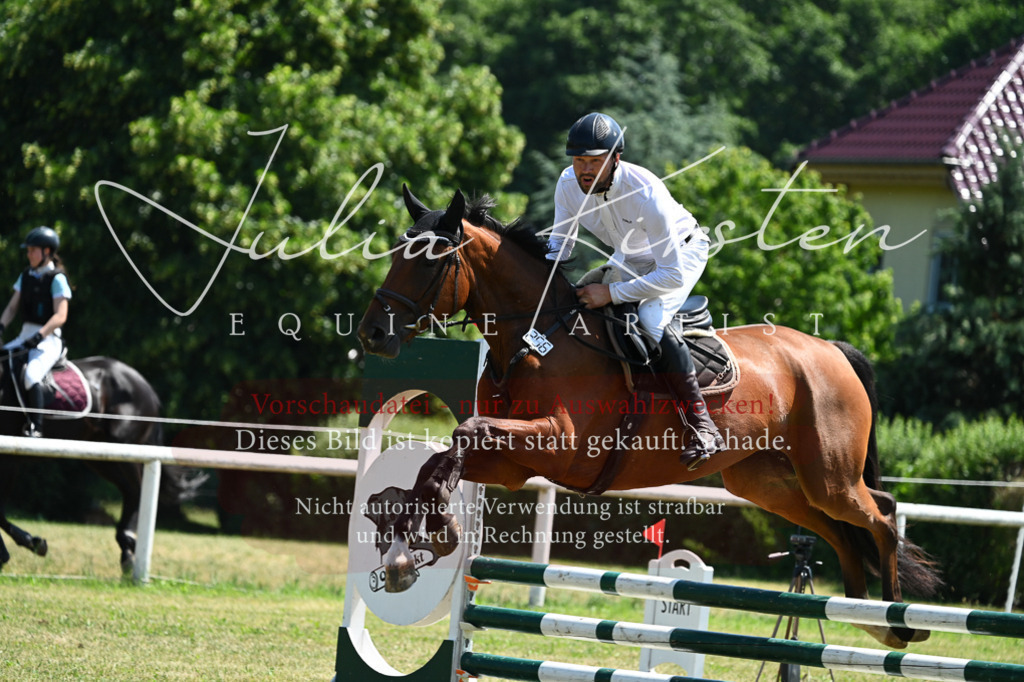 DSC_0587 | Pferde- und Turnierfotografie in Westsachsen. Pferdeportraits, Auftragszeichnungen und intuitive Kunst.