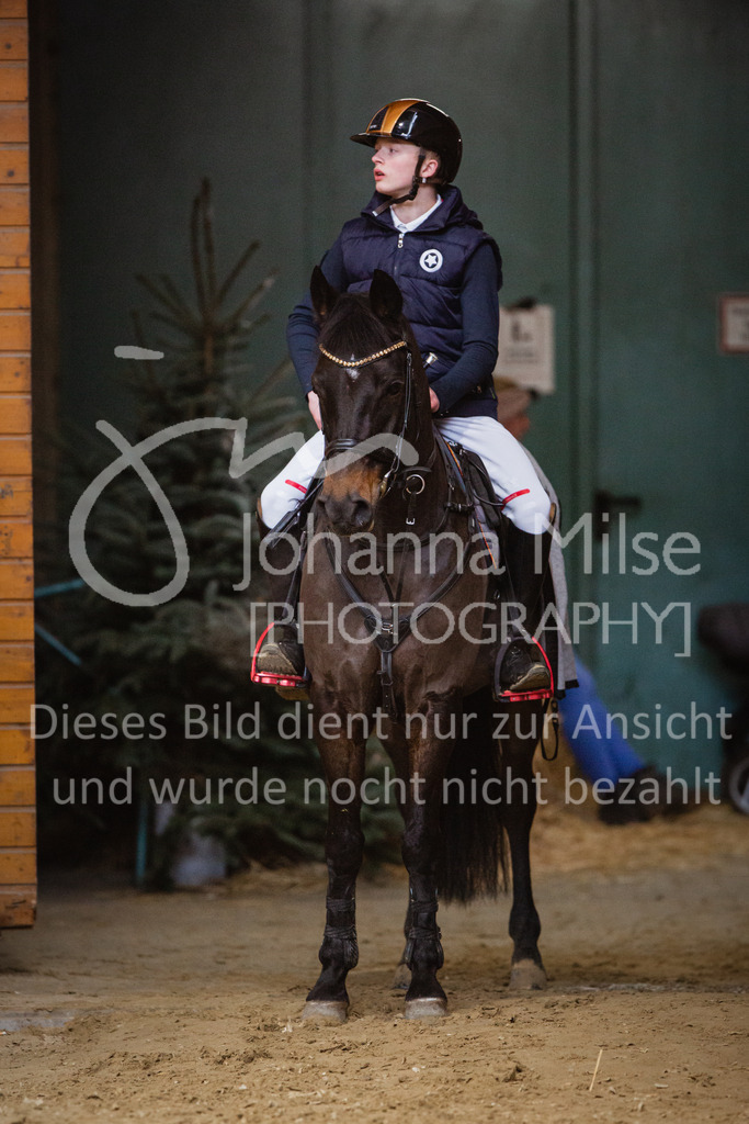 221127_Winterfestival_L-Spr_HPTTY-243 | Deine schönsten Turniermomente als professionelle Fotos! Entdecke hochwertige Pferdesport-Fotografie im Online-Shop. Jetzt Fotos finden & bestellen!