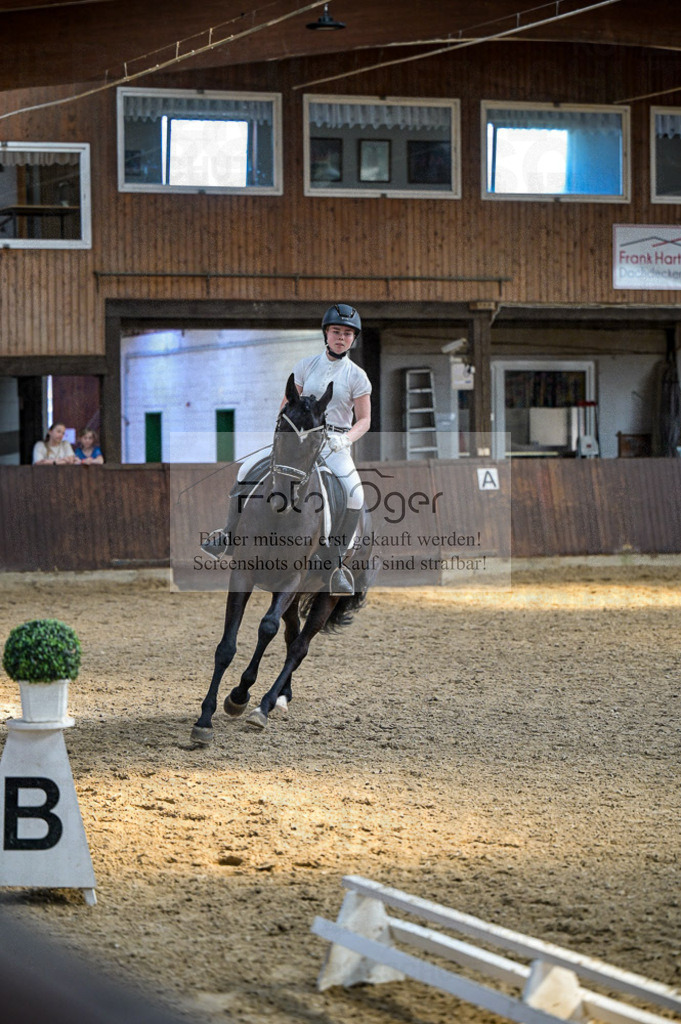Reitturnier Voxtrup | Entdecke hochwertige Reitturnierfotos von Foto Oger. Professionell, emotional und authentisch – jetzt Lieblingsmomente im Shop bestellen.Deutschlandweite Turnierfotografie. - Realisiert mit Pictrs.com