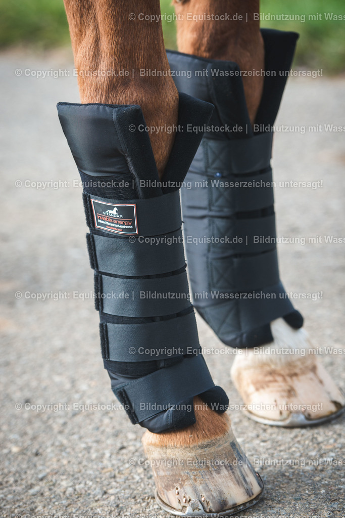 20191030_Wärmegamaschen_0007 | equistock