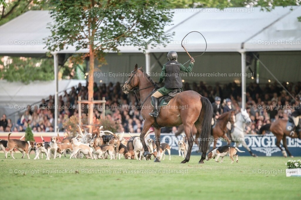 20230526_Pferdenacht_0542 | equistock