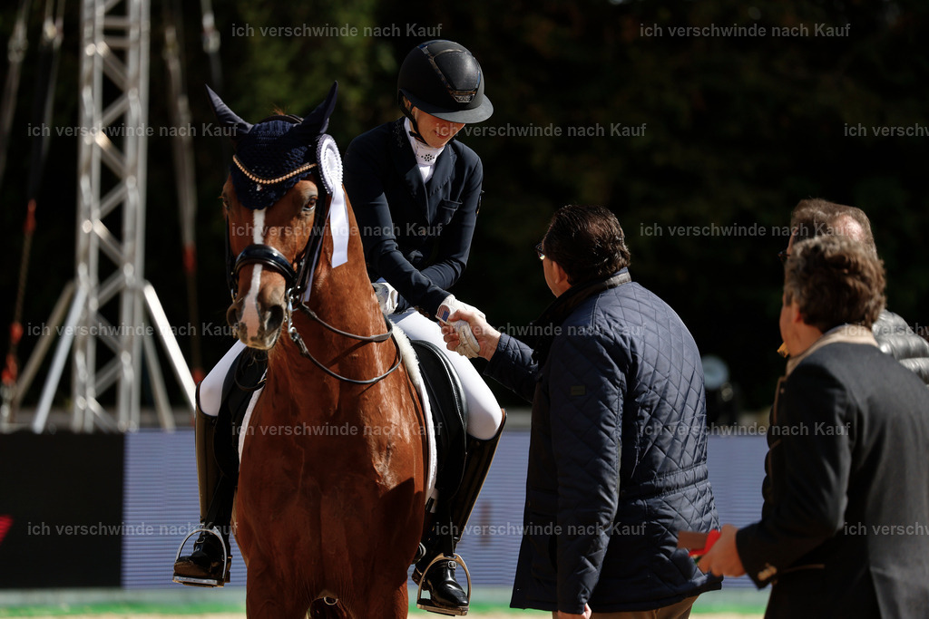 09_2-223-Dressur S__-StoibPH7092 | working equitationturnier fotograf videograf stoibphotography marixx film working equitation deutschland reitsport turnierfotografie eventfotografie equestrian events