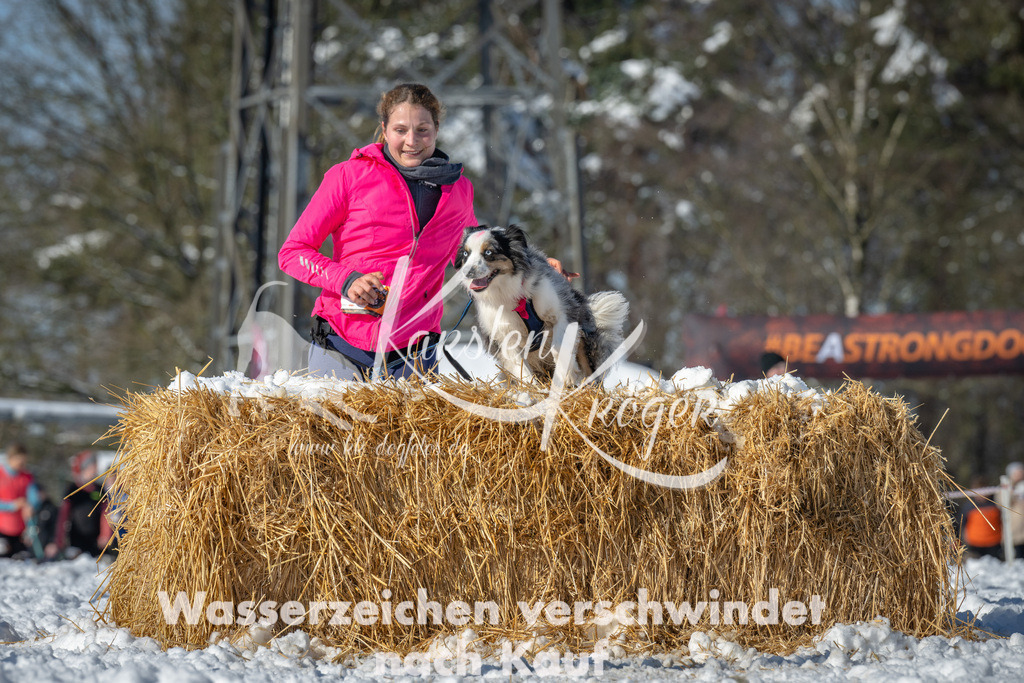 1104_ZZ94723-2 | kk-dogfotos