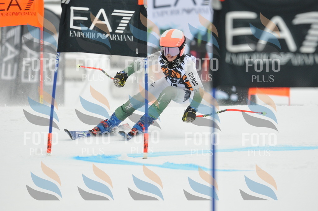 DSC_7398 | holidayphoto