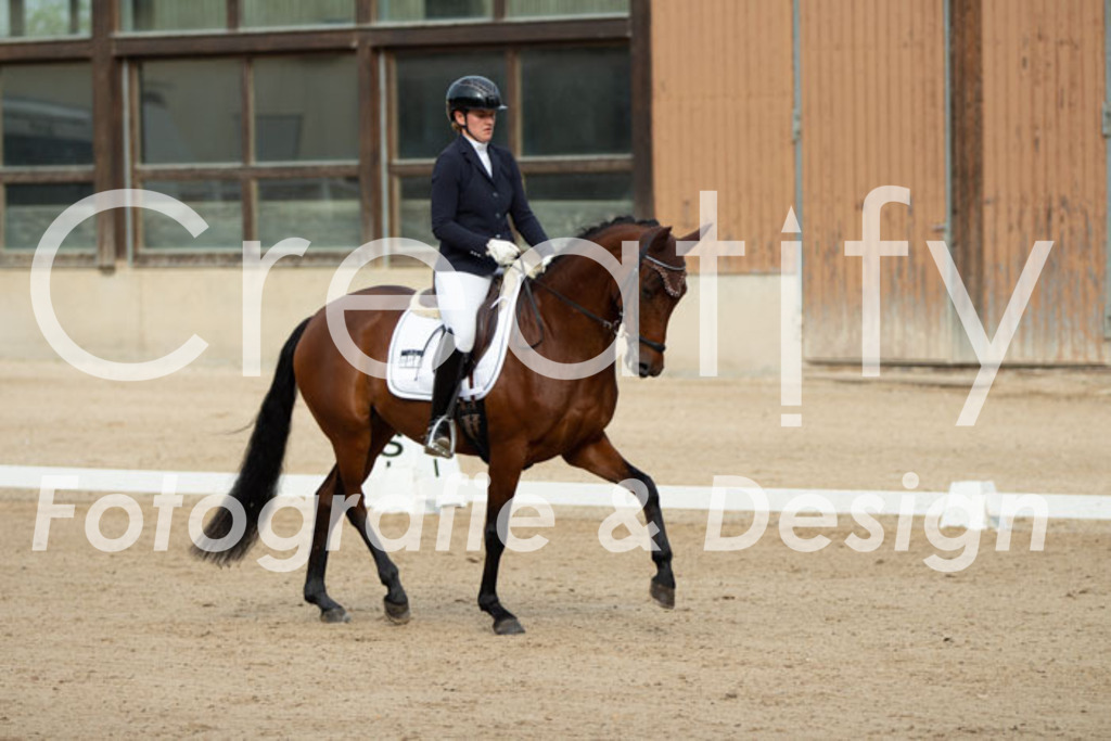 IMG_0365 | Creatify Fotografie