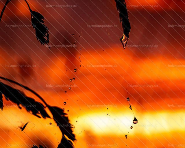 IMG_6087-2 | Fotograf Leipzig für Hochzeiten, Familienfeste & Porträts. Persönlich, ehrlich & echt – Emotion im Fokus. Jetzt Fotoshooting bei Holzmannphotos buchen!