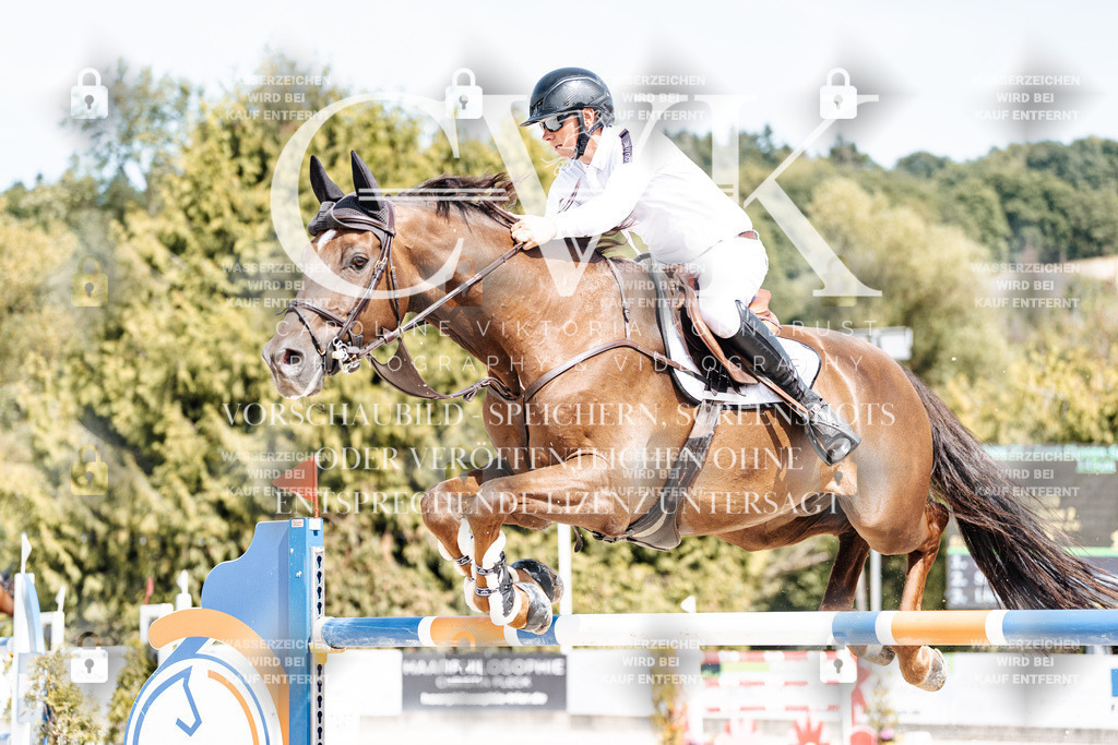 CK904990 | Turnierfotografie Pferdefotografie Trier Rheinland-Pfalz Pferdesport Reitsport Tierfotografie Sportfotografie Pferdevideo Pferdevideografie Equestrianvideography equestrianphotography  - Realisiert mit Pictrs.com