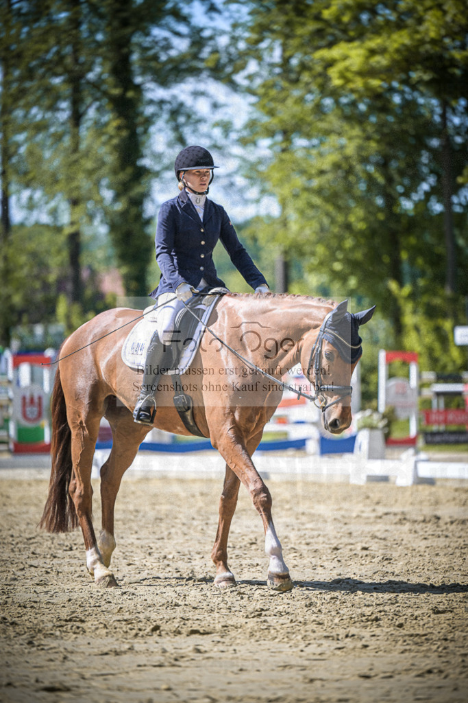 DOS_1498 | Entdecke hochwertige Reitturnierfotos von Foto Oger. Professionell, emotional und authentisch – jetzt Lieblingsmomente im Shop bestellen.Deutschlandweite Turnierfotografie. - Realisiert mit Pictrs.com