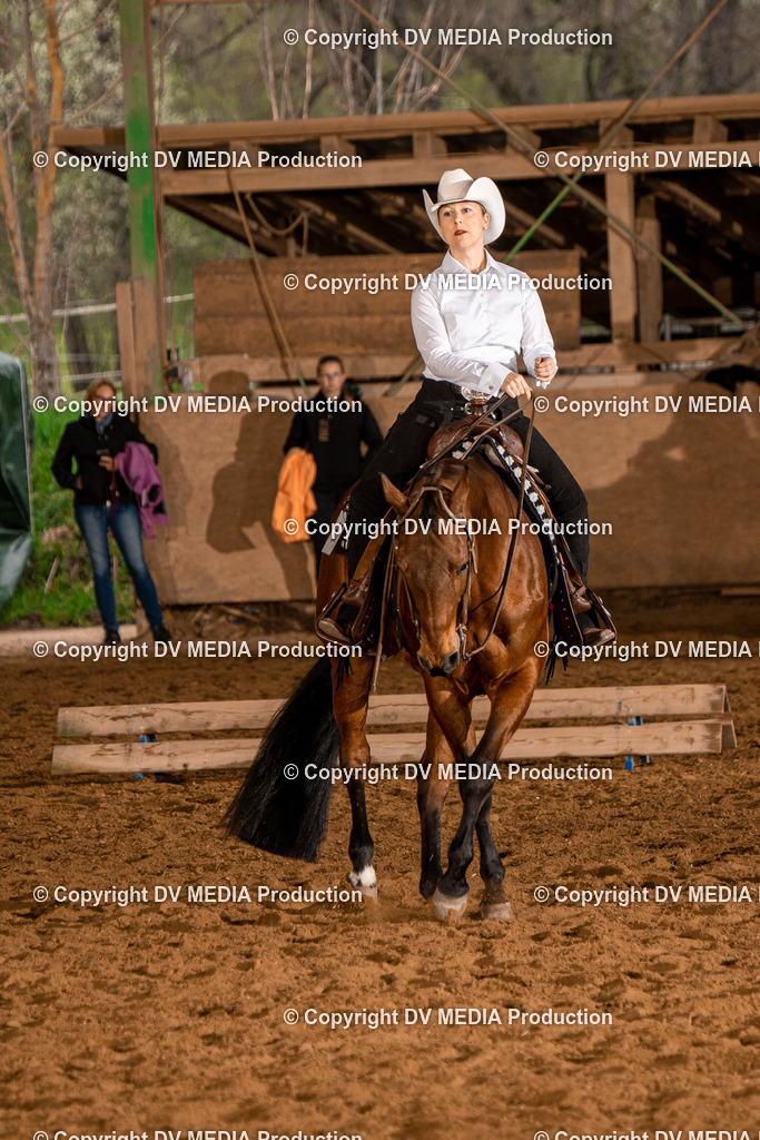 BAL00150 | dv-media-shop - Realisiert mit Pictrs.com