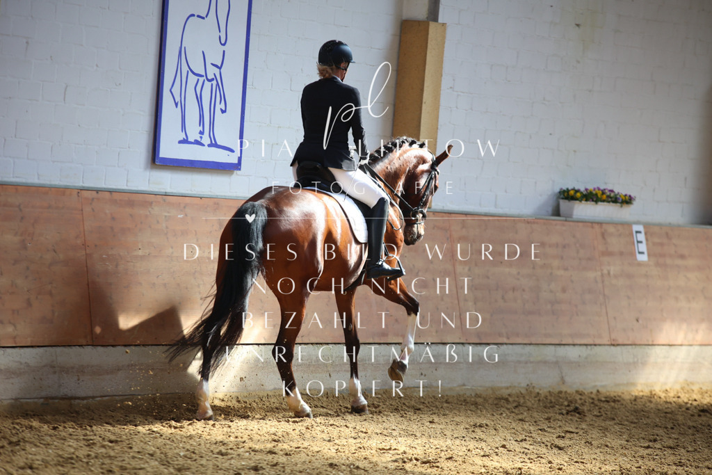 IMGT7007 | pl-fotografie