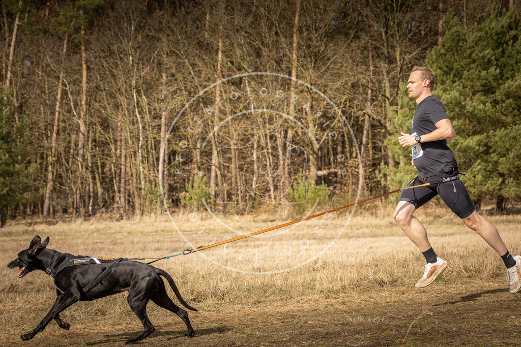 DV3A5677 | Hundefotografie, Tierfotograf, Pfotenfotografie, Fotoshooting Hund, Hunde Portrait, Hundesport, Hundeportraits, Heideshooting, Hunde, Sportfotograf, Hundefotograf, Turnierhundsport, THS,  - Realisiert mit Pictrs.com