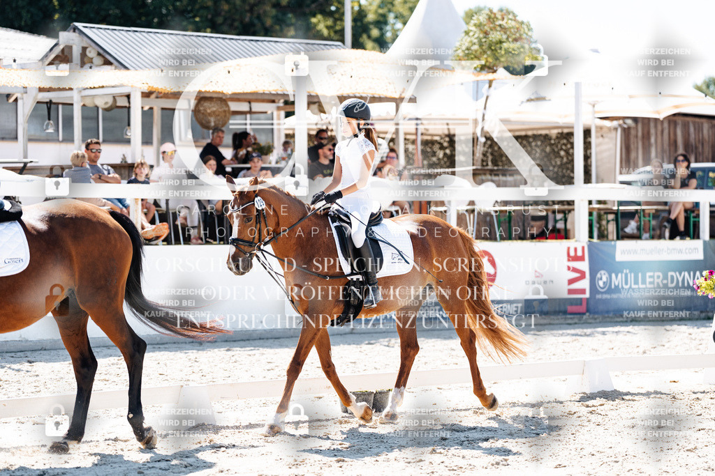 CK902512 | Turnierfotografie Pferdefotografie Trier Rheinland-Pfalz Pferdesport Reitsport Tierfotografie Sportfotografie Pferdevideo Pferdevideografie Equestrianvideography equestrianphotography  - Realisiert mit Pictrs.com