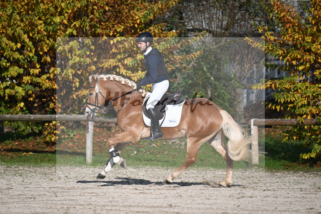 Kat-Nr. 2 Alonso_Alfreider_44240915 | hf-fotografie - Realisiert mit Pictrs.com