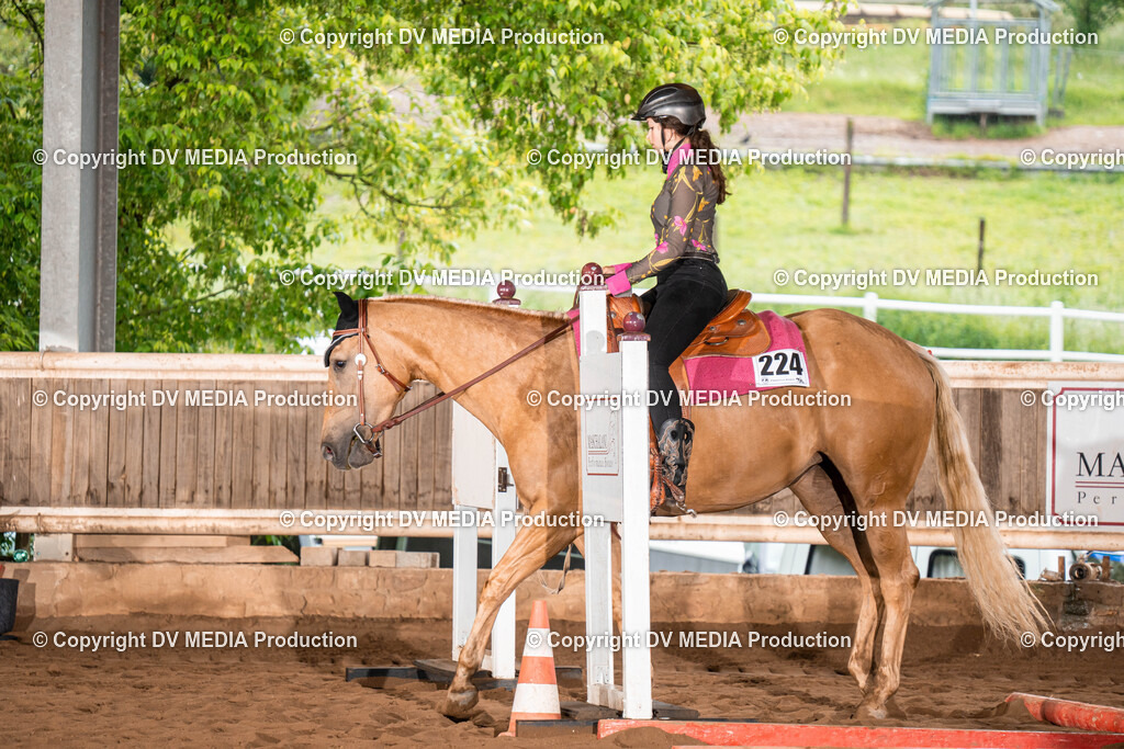 Erbach Tag 1-49 | dv-media-shop - Realisiert mit Pictrs.com