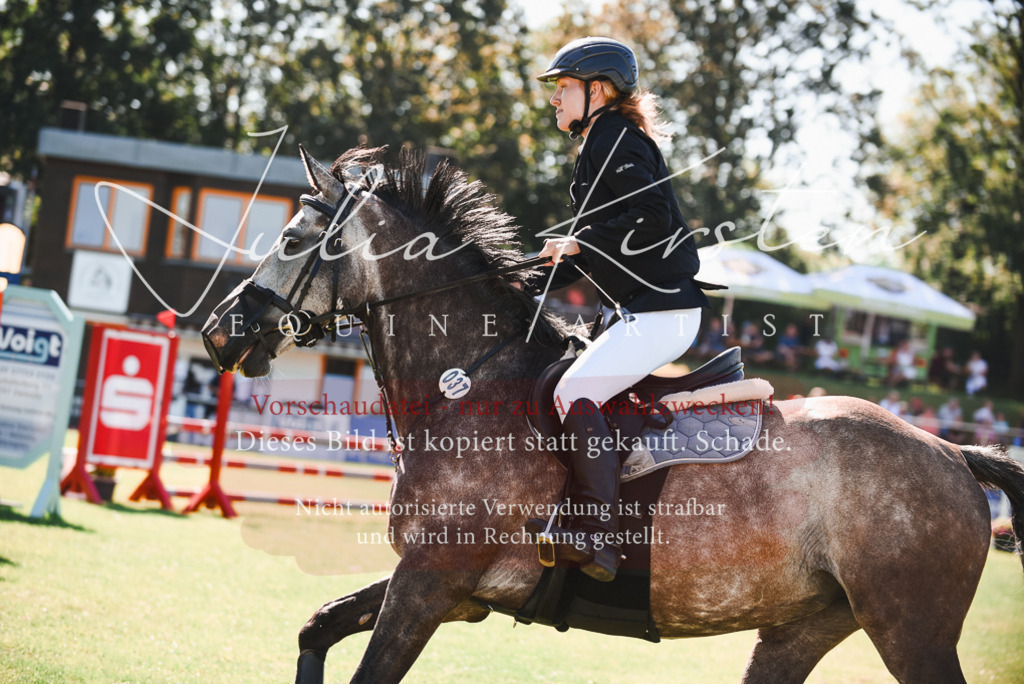 DSC_2563 | Pferde- und Turnierfotografie in Westsachsen. Pferdeportraits, Auftragszeichnungen und intuitive Kunst.