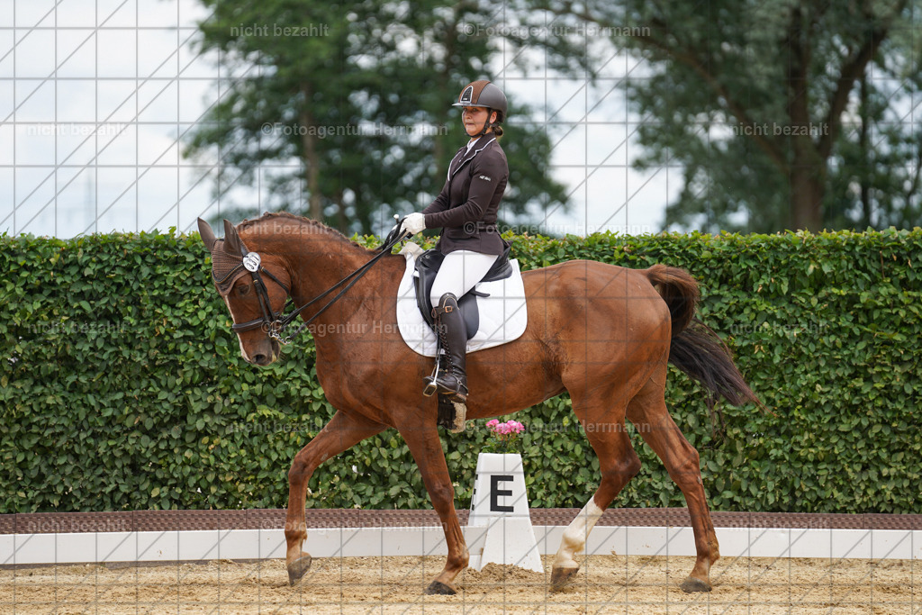 20240630-FAH02083 | Turnierbilder Schwabmünchen, Dressurbilder, Springreitturnier, Reitsportbilder, Turnierfotografen Bayern, Turnierfotograf