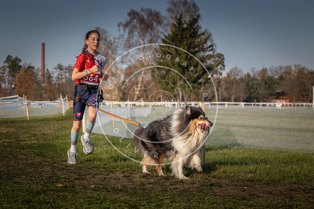CaniXpix_0L8A9392 | Hundefotografie, Tierfotograf, Pfotenfotografie, Fotoshooting Hund, Hunde Portrait, Hundesport, Hundeportraits, Heideshooting, Hunde, Sportfotograf, Hundefotograf, Turnierhundsport, THS,  - Realisiert mit Pictrs.com