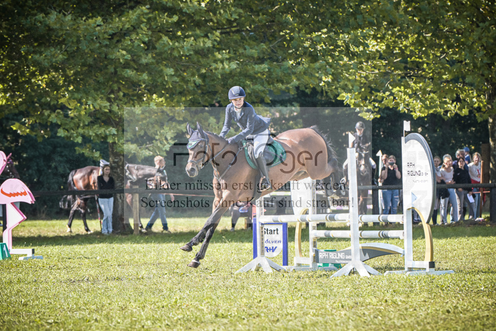 DOS_0753 | Entdecke hochwertige Reitturnierfotos von Foto Oger. Professionell, emotional und authentisch – jetzt Lieblingsmomente im Shop bestellen.Deutschlandweite Turnierfotografie. - Realisiert mit Pictrs.com