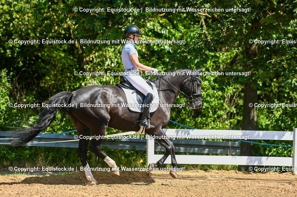 20230715_02_Dressurreiterprüfung Kl.L_0033 | equistock