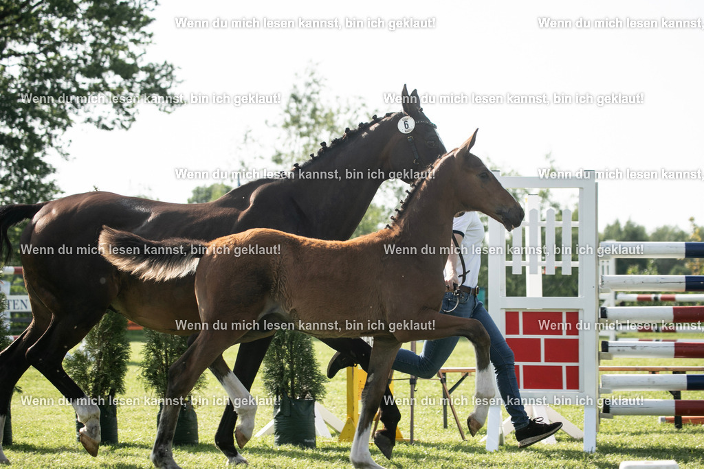 598A7012 | photographylinaismer - Realisiert mit Pictrs.com