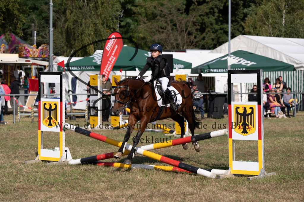 A7V08446 | Pferdefotograf