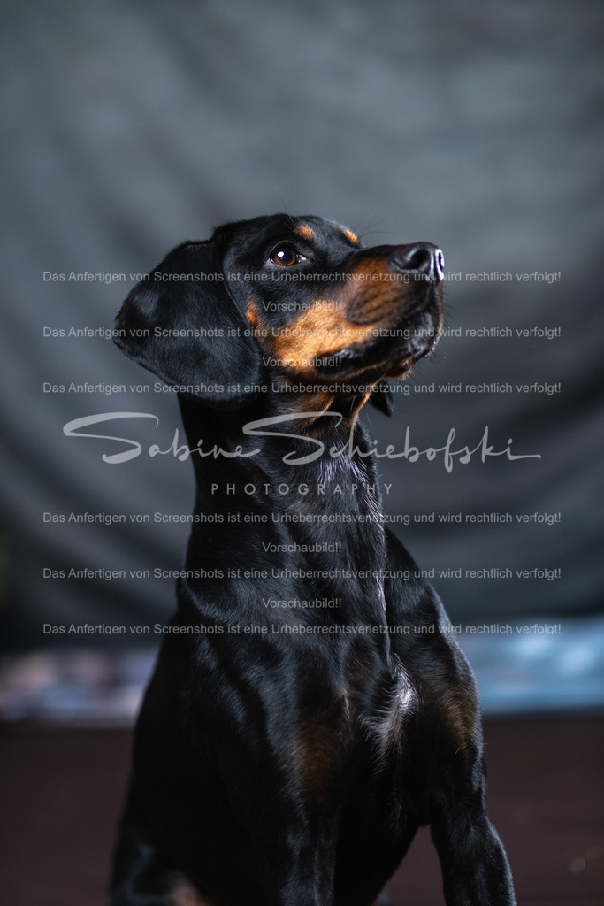 DSCF4429 | People- und Tierfotografie, Imageaufnahmen, Veranstaltungsfotografie und Wandbilder aus der Natur ★ Made in Germany ✔️ Druck + Downloads ✔️ Naturfotografie in Top Qualität ★ schneller Versand, weltweite Lieferung! - Realisiert mit Pictrs.com