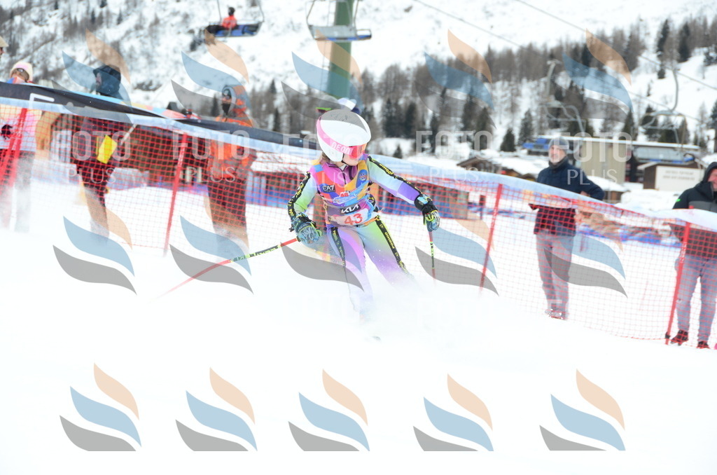 DSC_0923 | holidayphoto