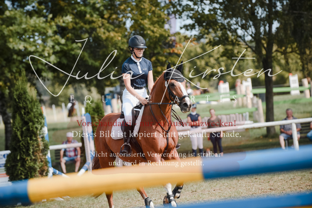 DSC_5342 | Pferde- und Turnierfotografie in Westsachsen. Pferdeportraits, Auftragszeichnungen und intuitive Kunst.
