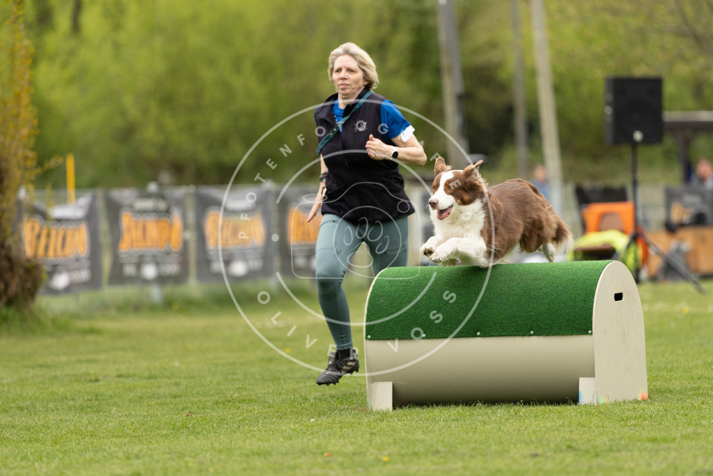 Pfotenfotografie_DV3A8919 | Hundefotografie, Tierfotograf, Pfotenfotografie, Fotoshooting Hund, Hunde Portrait, Hundesport, Hundeportraits, Heideshooting, Hunde, Sportfotograf, Hundefotograf, Turnierhundsport, THS,  - Realisiert mit Pictrs.com