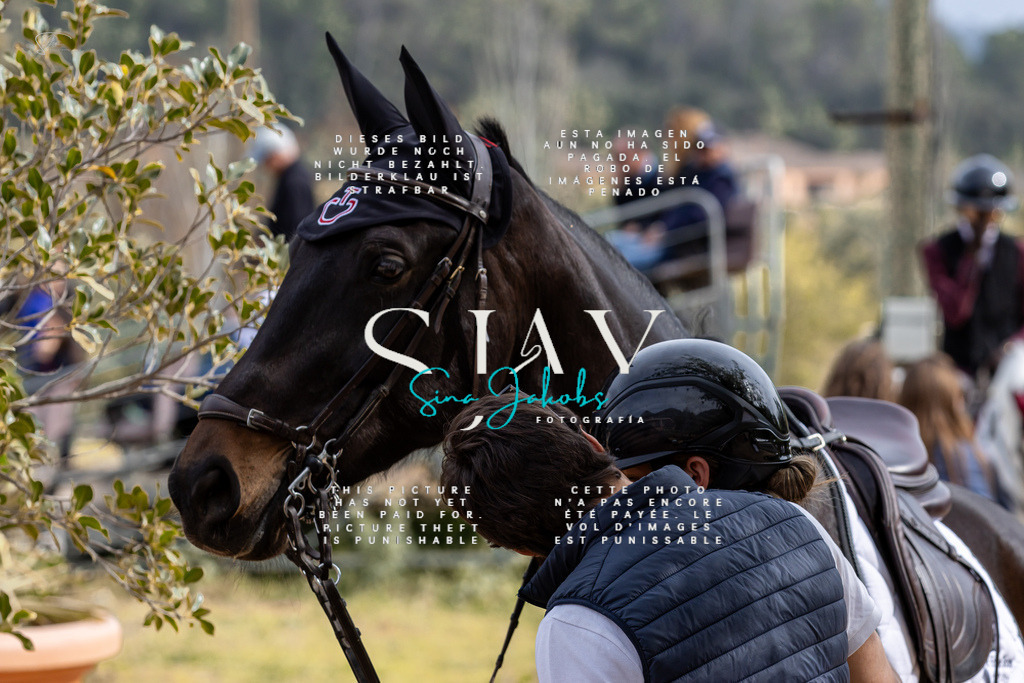 IMG_3751 | s-jay-photography - Realisiert mit Pictrs.com