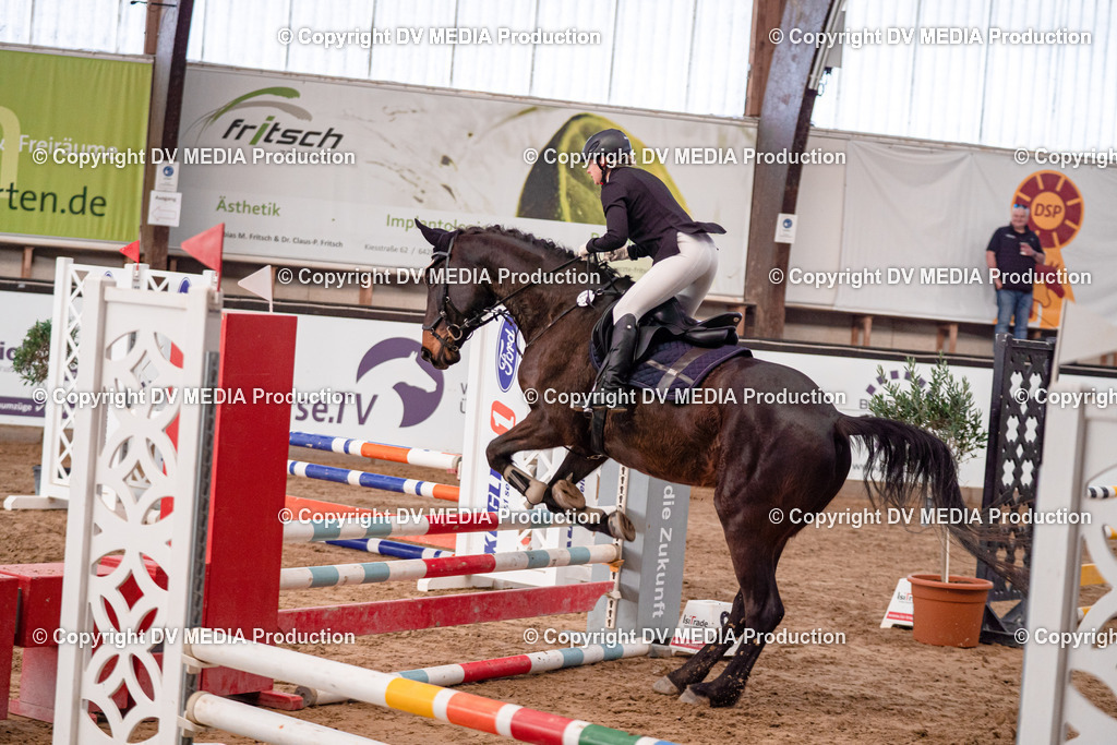 Kranichstein II Tag 3-47 | dv-media-shop - Realisiert mit Pictrs.com