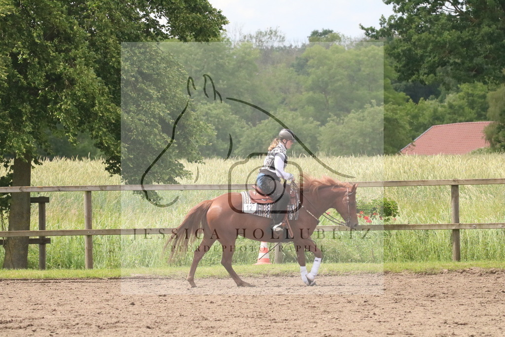 IMG_7495 | jessicahollubetz_pferdephotographie - Realisiert mit Pictrs.com