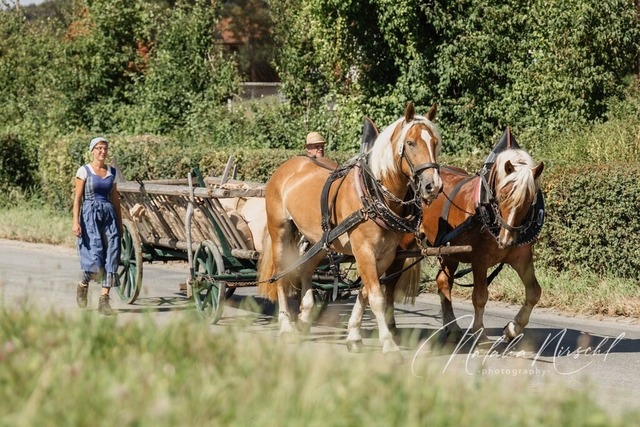 7V6A2069 | natalia-nirschl-photography