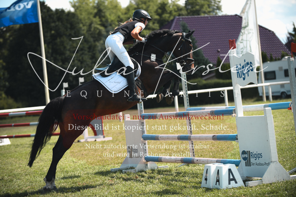 DSC_6969 | Pferde- und Turnierfotografie in Westsachsen. Pferdeportraits, Auftragszeichnungen und intuitive Kunst.