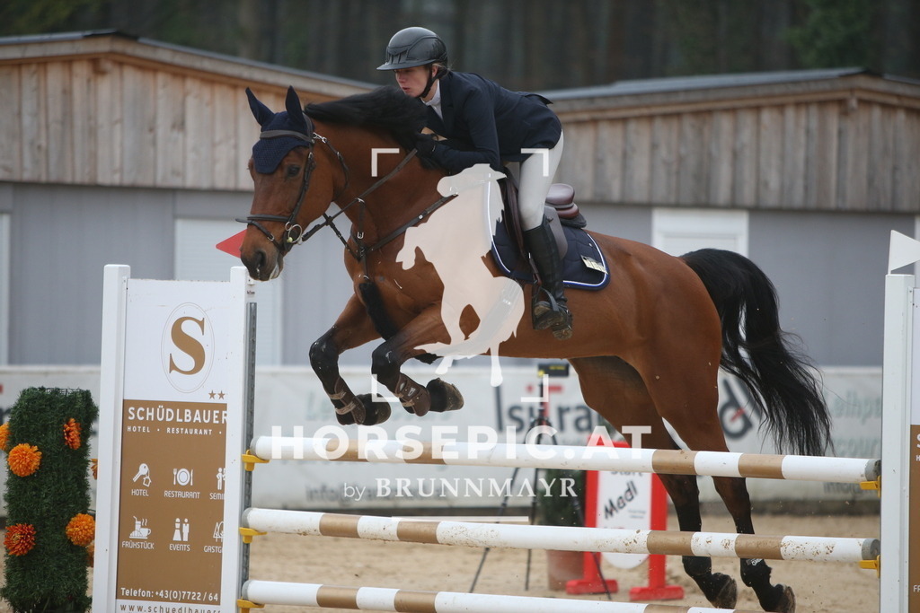 PP012977 | Willkommen bei Brunnmayr - Design & Fotografie – Ihrem Spezialisten für Reitturniere und Pferdeveranstaltungen in Oberösterreich, Salzburg und Bayern! Seit über 17 Jahren sind wir leidenschaftlich dabei.