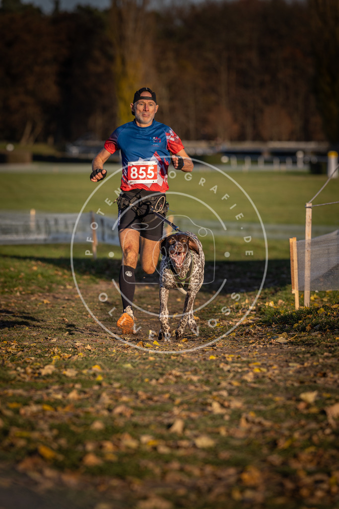 CaniXpix_DV3A3951 | Hundefotografie, Tierfotograf, Pfotenfotografie, Fotoshooting Hund, Hunde Portrait, Hundesport, Hundeportraits, Heideshooting, Hunde, Sportfotograf, Hundefotograf, Turnierhundsport, THS,  - Realisiert mit Pictrs.com