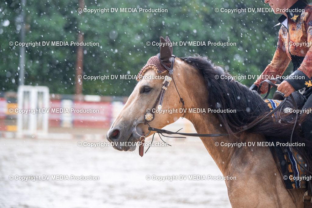 ZS2_4126 | dv-media-shop - Realisiert mit Pictrs.com