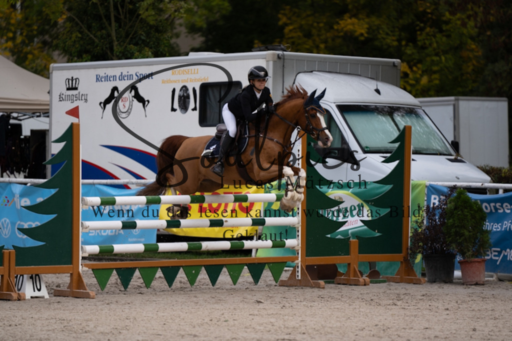 A7V00462 | Pferdefotograf