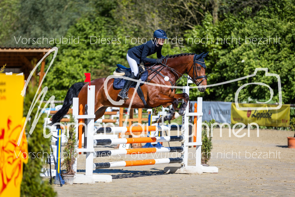 Donop24-A2Spr-028 | MomenTaufnahmen Pferdesportfotos