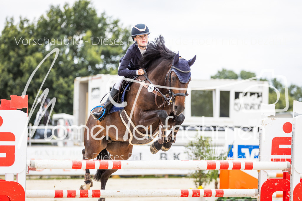 BHO-2PhSpr-M-5-2210 | MomenTaufnahmen Pferdesportfotos