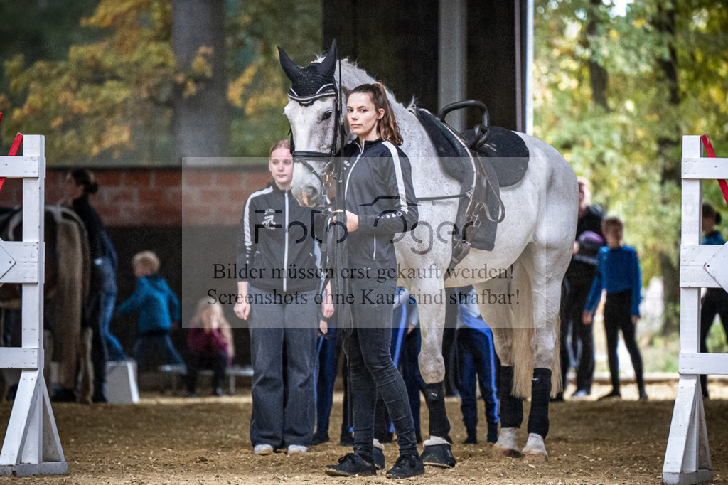 DOS_0002 | Entdecke hochwertige Reitturnierfotos von Foto Oger. Professionell, emotional und authentisch – jetzt Lieblingsmomente im Shop bestellen.Deutschlandweite Turnierfotografie. - Realisiert mit Pictrs.com