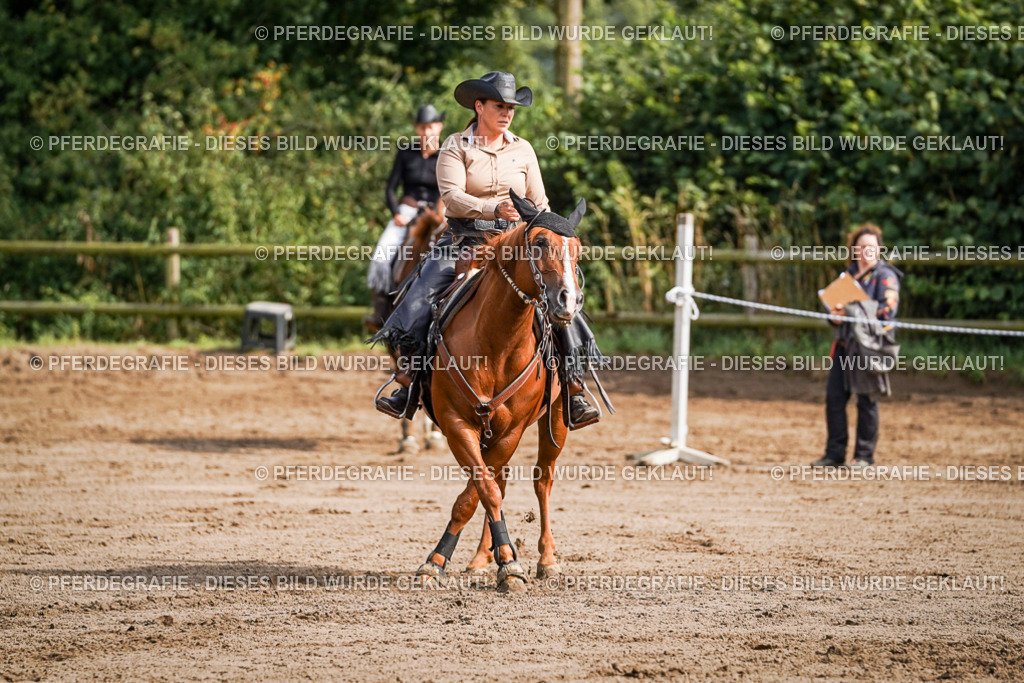 DSC09661 | Pferdegrafie