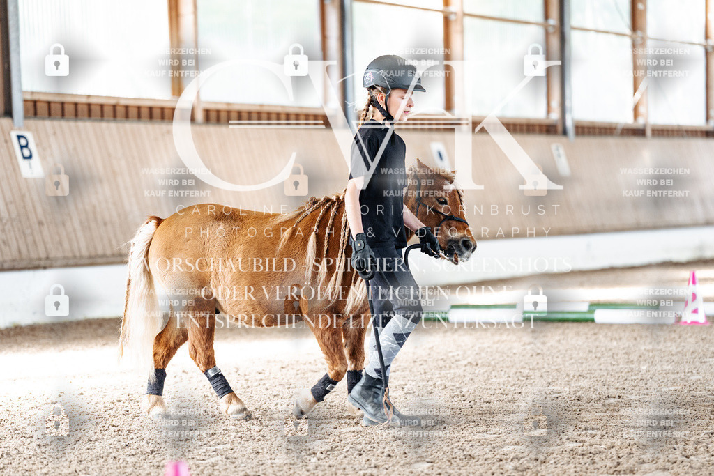 CK905273 | Turnierfotografie Pferdefotografie Trier Rheinland-Pfalz Pferdesport Reitsport Tierfotografie Sportfotografie Pferdevideo Pferdevideografie Equestrianvideography equestrianphotography  - Realisiert mit Pictrs.com