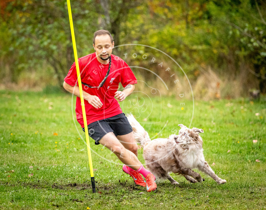 Pfotenfotografie_DV3A0959 | Hundefotografie, Tierfotograf, Pfotenfotografie, Fotoshooting Hund, Hunde Portrait, Hundesport, Hundeportraits, Heideshooting, Hunde, Sportfotograf, Hundefotograf, Turnierhundsport, THS,  - Realisiert mit Pictrs.com
