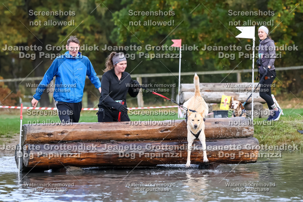 Dog Paparazzi - Strongdog 10-25-6771 | Dog Paparazzi Jeanette Grottendiek Fotografie & Videografie - Realisiert mit Pictrs.com