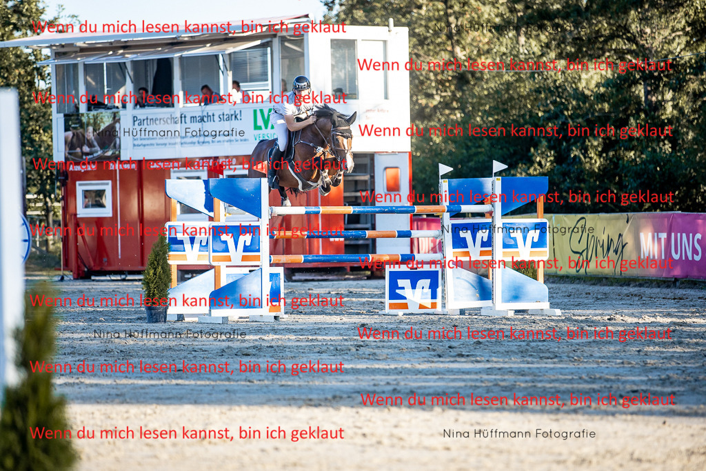 BK1A8521 | Turnierbilder Turnierfotos Nina Hüffmann Turnierfotografie Pferdefotografie Tierzeichnung Haustierzeichnung Pferdezeichnung Hundezeichnung Videograf  - Realisiert mit Pictrs.com
